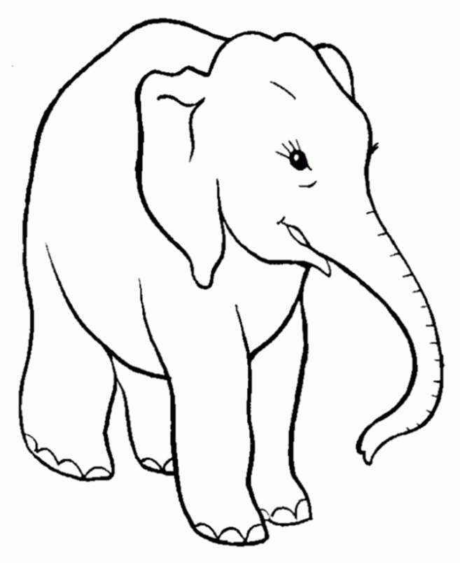 Dibujo de Elefante para colorear. Dibujos infantiles de Elefante ...