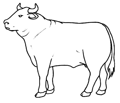 La Chachipedia: Vacas, toros y bueyes para colorear La Chachipedia: Vacas, toros y bueyes para colorear