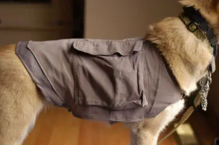 Como hacer chalecos para perros reciclando pantalones | Todo ...