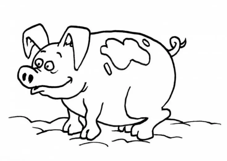 Dibujo de Cerdo manchado de barro para colorear. Dibujos ...