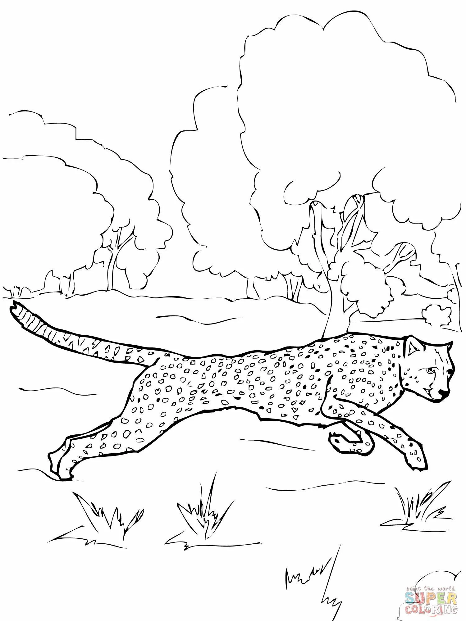Cheetah coloring page | Animal coloring pages, Cartoon coloring pages,  Coloring book pages