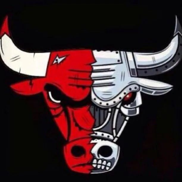 Chicago Bulls on Pinterest | Houston Rockets, Derrick Rose and New ...