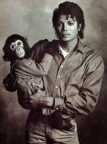 Chimp Trainer's Daughter: Does Michael Jackson's chimp Bubbles ...