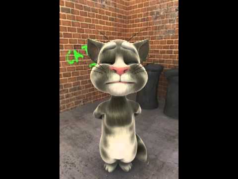 El chiste de los reyes magos contado por el gato tom - YouTube
