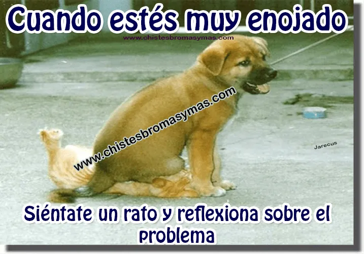 Chistes gráficos - Cuando estés muy enojado | Chistes Bromas y mas Chistes gráficos - Cuando estés muy enojado | Chistes Bromas y mas