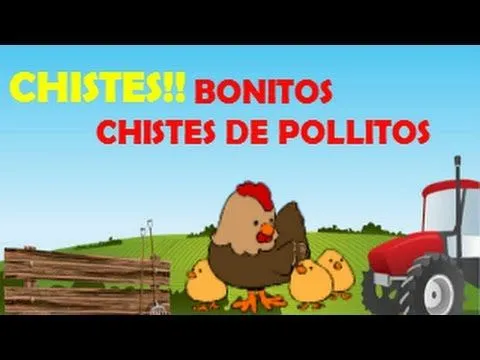 CHISTES DE POLLITOS // - YouTube