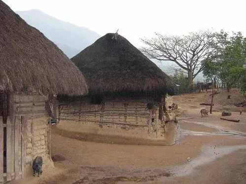 Chosas indigenas - Imagui