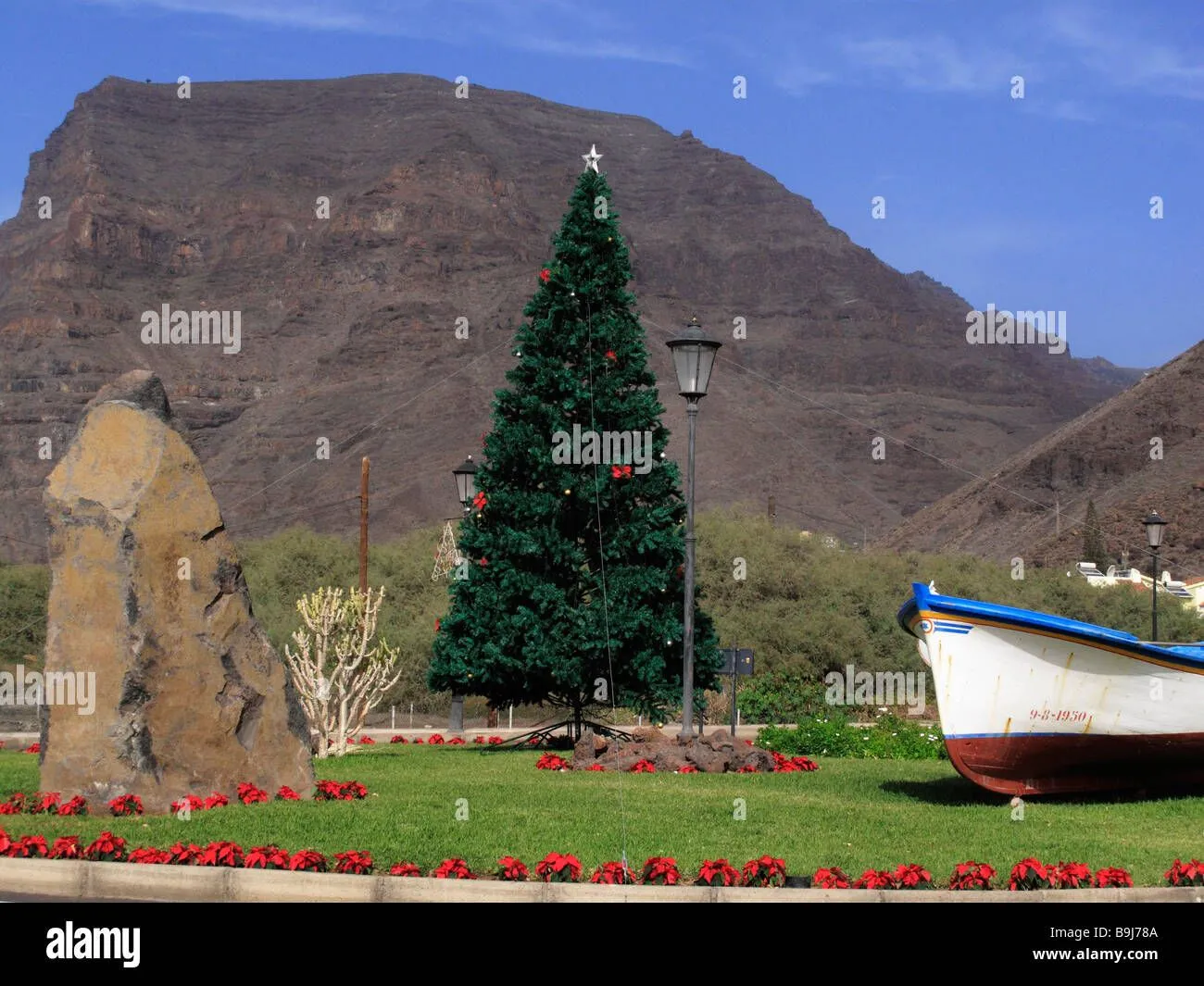 Christmas Tree In Vueltas, In The Back Mt La Merica, Valle Gran ...