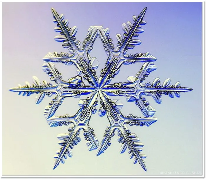 Cibermitaños: Increíbles fotos de copos de nieve Cibermitaños: Increíbles fotos de copos de nieve