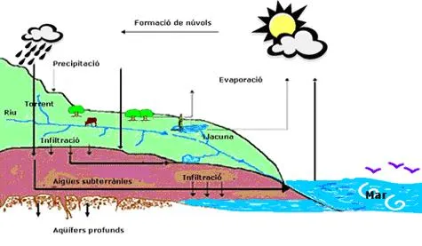El ciclo del agua | Aigues de Mataro