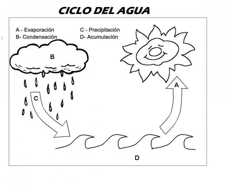 ciclo del agua, ciencias naturales, conocimiento del medio, fichas  primaria, fichas infantil | Ciclo del agua, Actividades del ciclo del agua, Agua  para colorear
