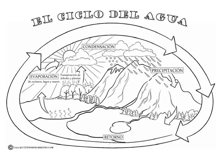 El Ciclo Del Agua para Colorear | PDF