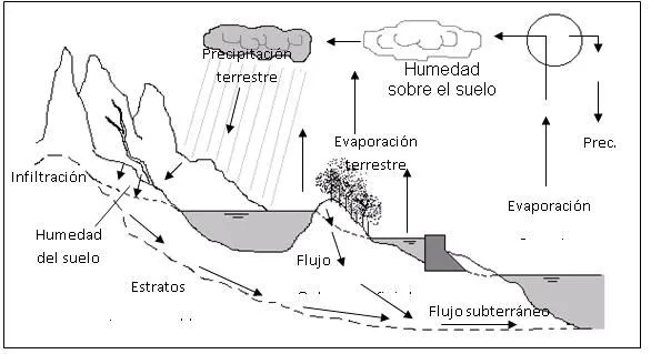 Ciclo hidrologico imagenes para dibujar - Imagui
