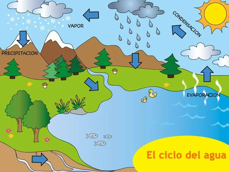 Qué es el ciclo del agua? Resumen para niños