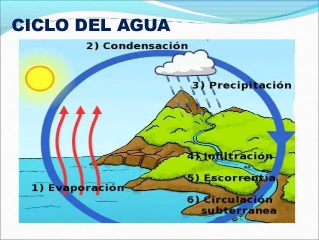 Ciclo de agua wikipedia - Imagui