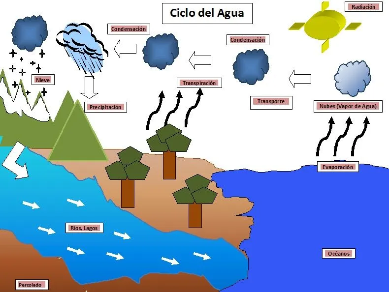 Dibujos del ciclo hidrologico del agua - Imagui