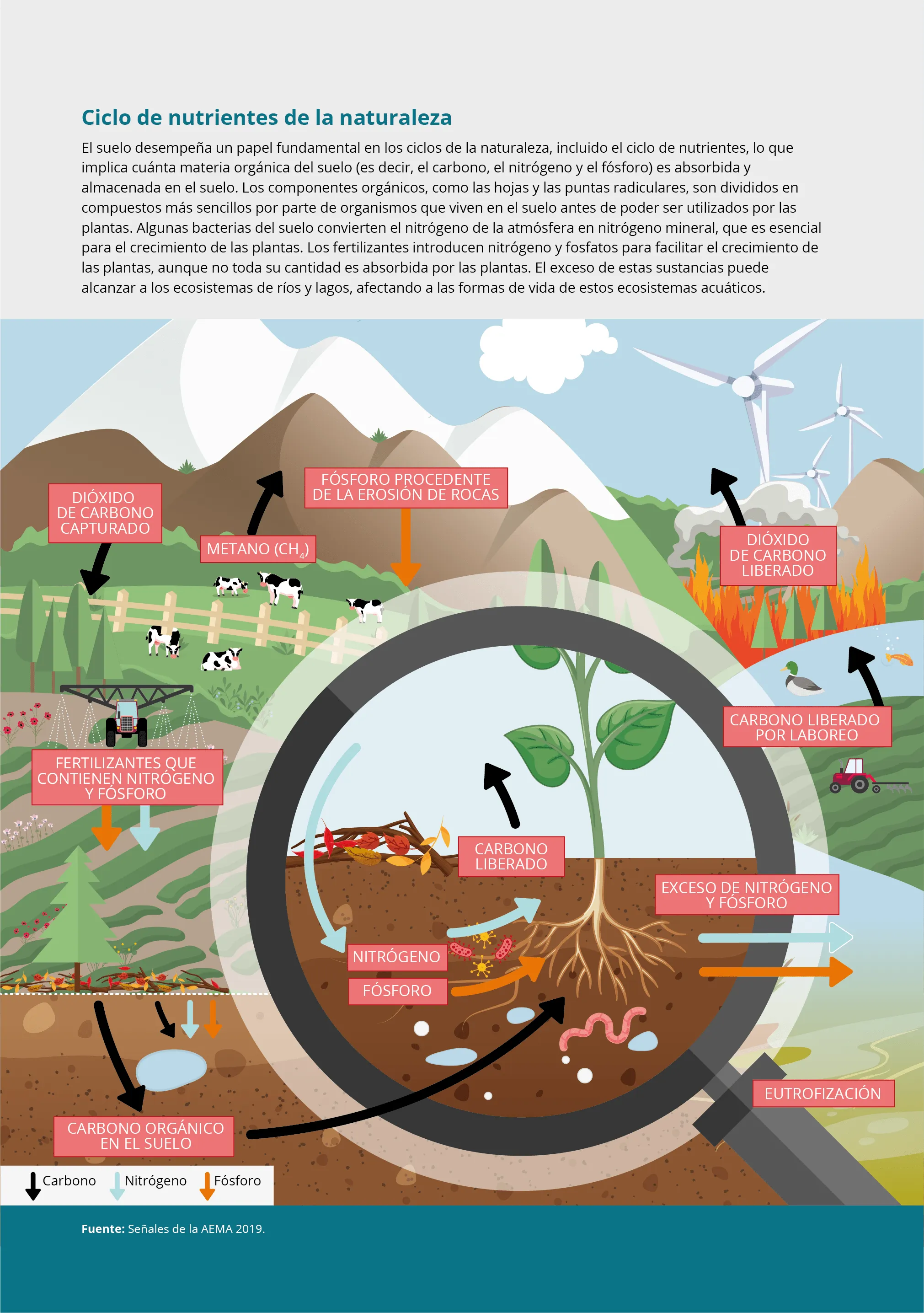 Ciclo de nutrientes de la naturaleza — Agencia Europea de Medio Ambiente