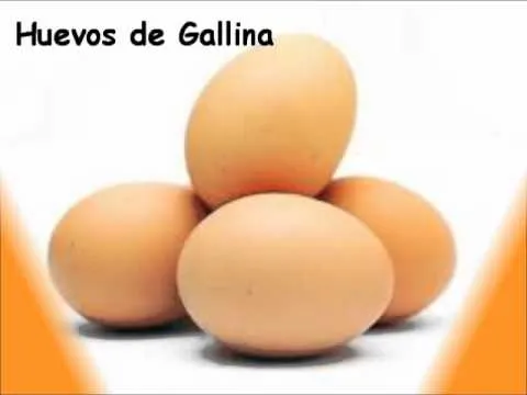 CICLO DE VIDA DE LOS ANIMALES - YouTube CICLO DE VIDA DE LOS ANIMALES - YouTube