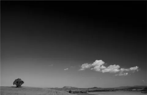 Cielo-negro-y-solitario escala de grises | Genuina Art Cielo-negro-y-solitario escala de grises | Genuina Art