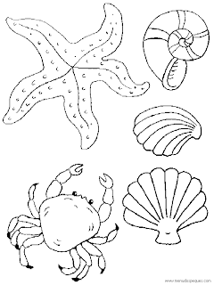 Ciencias Naturales; Los Seres Vivos: Dibujos para Colorear