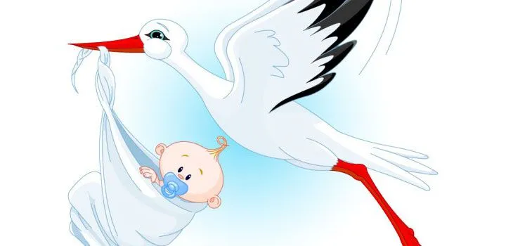 Imágenes de cigueñas con bebés en caricaturas - Imagui