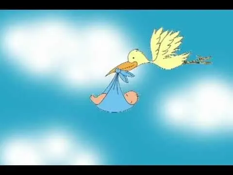 cigüeña voladora.avi - YouTube