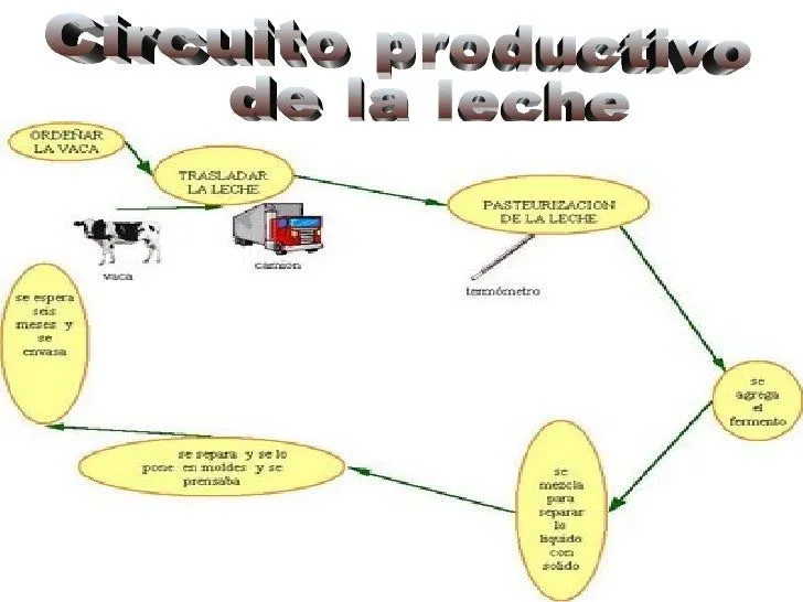 Circuito productivo de la leche - Imagui