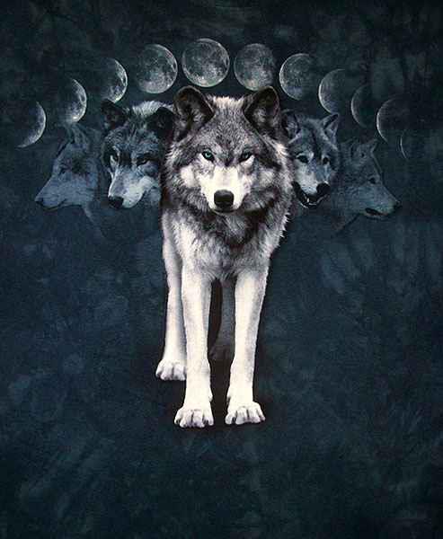 Círculos de Poder de la Diosa: Luna Llena del Lobo: Rituales ...