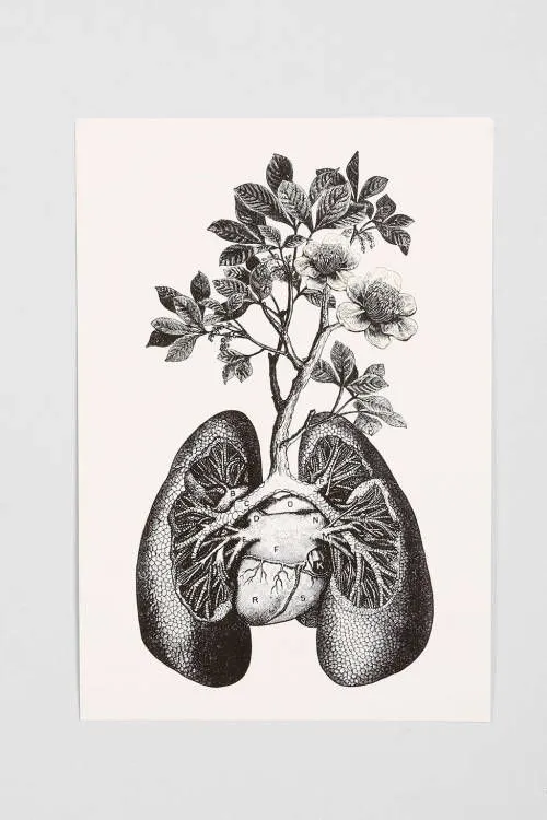 Cirque D'Art Lungs Art Print // purchase here -