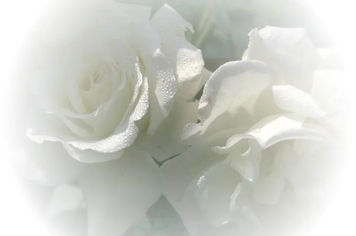El cisne de cristal: Las rosas del invierno.