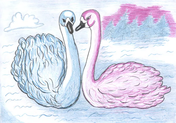 dos cisnes, dibujo a lápiz de color — Foto stock © nadyaus #1705183