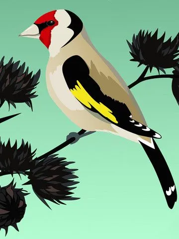 Claims of birds HD 1.2 App for iPad, iPhone - Entertainment - app ... Claims of birds HD 1.2 App for iPad, iPhone - Entertainment - app ...