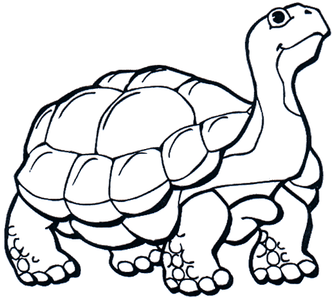 Dibujos de tortuga para colorear - Imagui