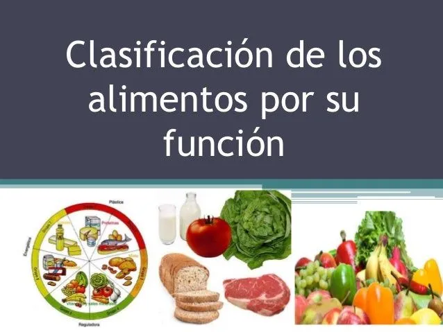 Clasificación de los alimentos según su función