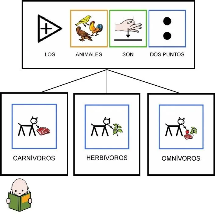 clasificacion de los animales segun su alimentacion clasificacion de los animales segun su alimentacion