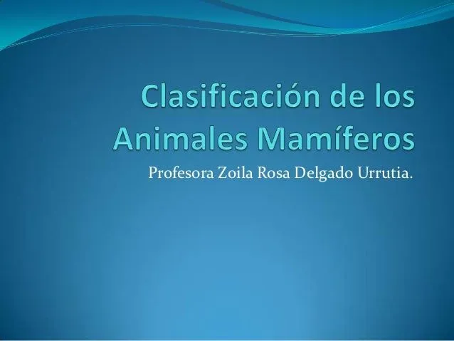 Clasificación de los animales mamíferos