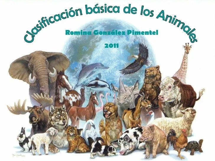 Clasificación básica de los Animales