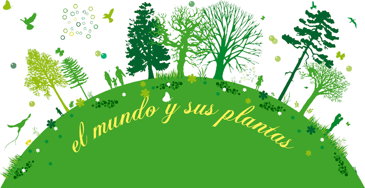 Clasificacion de hojas por su forma : El Mundo y sus Plantas