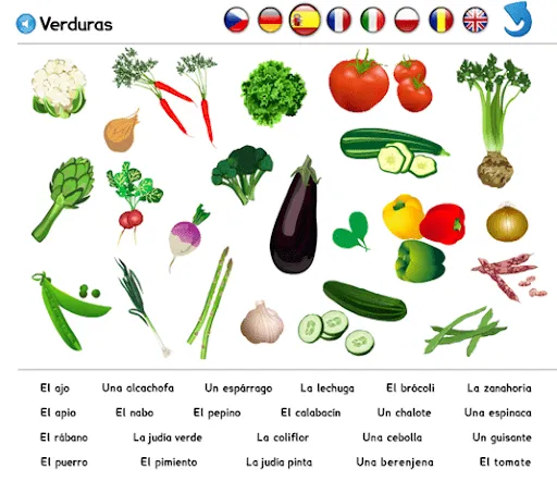 CLUB DE ESPAÑOL: Verduras- vocabulario