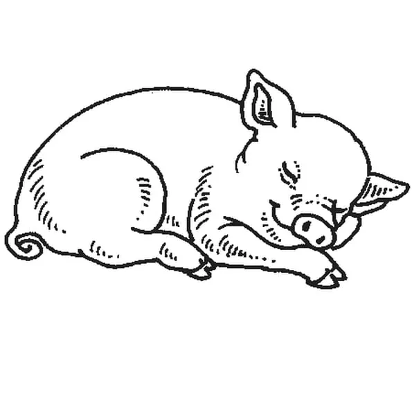 COCHON : Coloriage cochon en Ligne Gratuit a imprimer sur COLORIAGE TV
