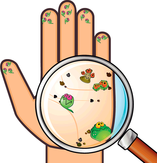 Cocina Segura: Día Mundial del Lavado de manos