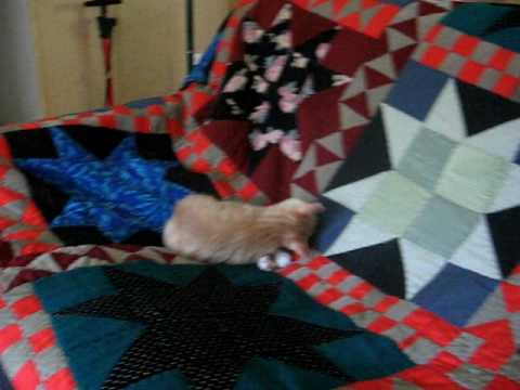 Colchas o edredones hechos con ropa usada y mis gatitos - YouTube