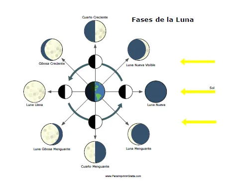 Fases de la Luna - Para Imprimir Gratis - ParaImprimirGratis.com