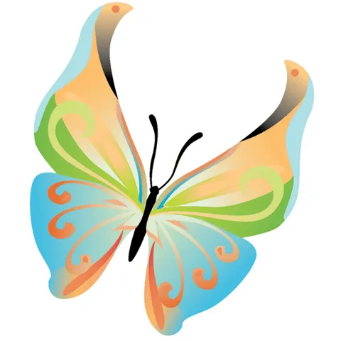 Colección de 14 bellas mariposas con diferentes colores
