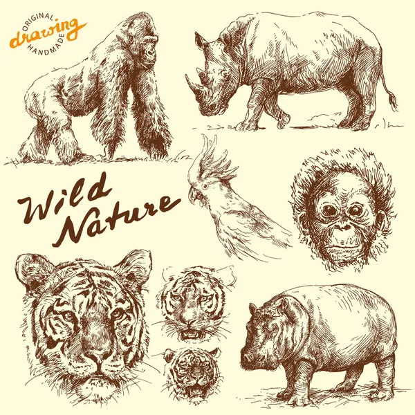 Colección animales dibujados a mano — Vector stock © canicula ...