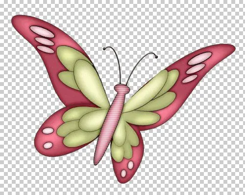 COLECCION DE MARIPOSAS DE TODOS LOS COLORES COLECCION DE MARIPOSAS DE TODOS LOS COLORES