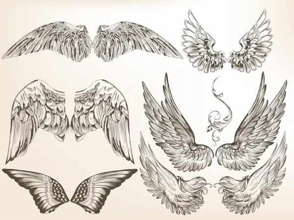 colección de vector alas dibujadas para el diseño de la mano ...