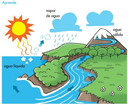 El ciclo del agua dibujo y explicacion - Imagui