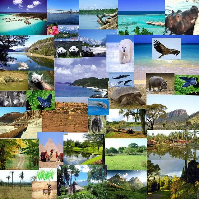 COLLAGE- PAISAJES Y ANIMALES | Flickr - Photo Sharing!