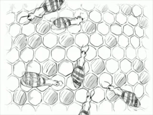 colmena con abejas animadas on Vimeo